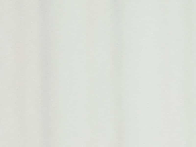 Poutine rit à la face du monde entier