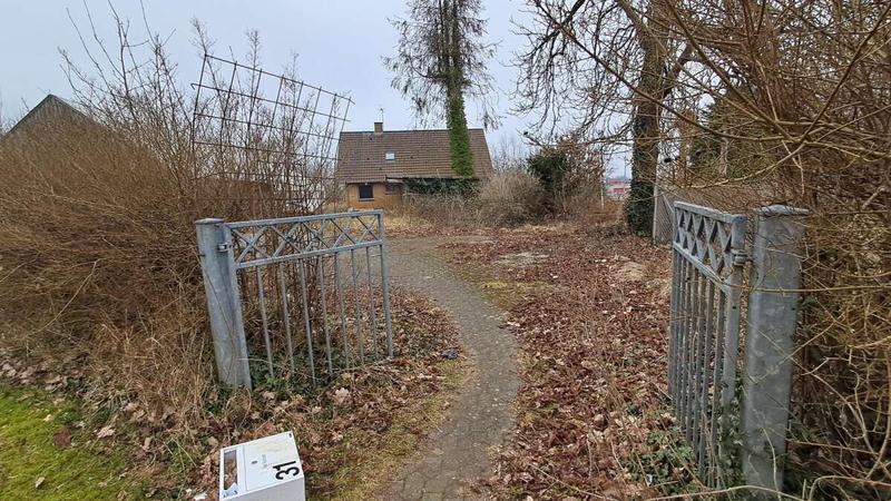 Debat: »Når fagligheden bøjer af - og troværdigheden går fløjten« Debat: »Når fagligheden bøjer af - og troværdigheden går fløjten«