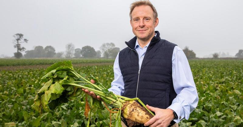 Sugar beet growers face 'unwelcome' extra competition from cane sugar imports