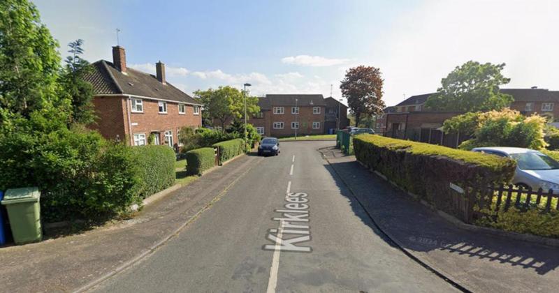 Police from Norfolk and Lincolnshire swarm city street