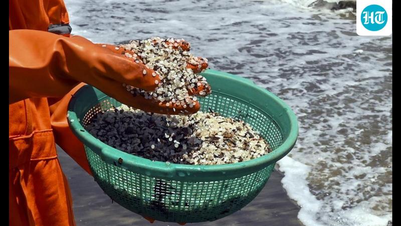 Plastic-free coastlines: India-Norway collaboration for Blue prosperity