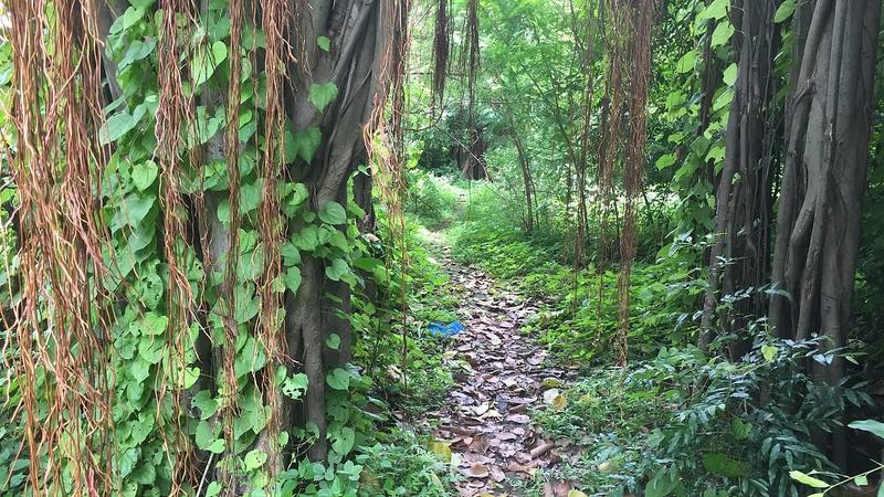 Sadhugram At The Cost Of Nature Sadhugram At The Cost Of Nature