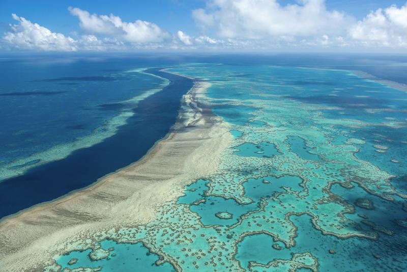 Coral reefs have orchestrated Earth’s climate for 250 million years