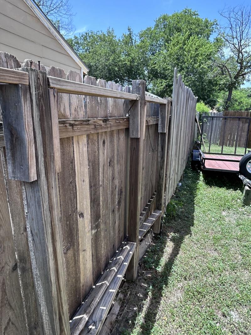 Advice for dealing with neighbor fence disputes and dangerous tree limbs