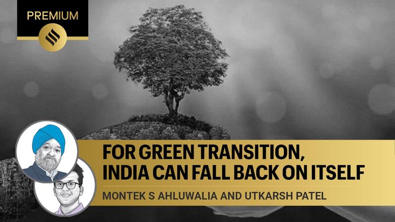 For green transition, India can fall back on itself