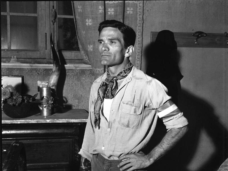 Un abito da Arlecchino diventato troppo largo