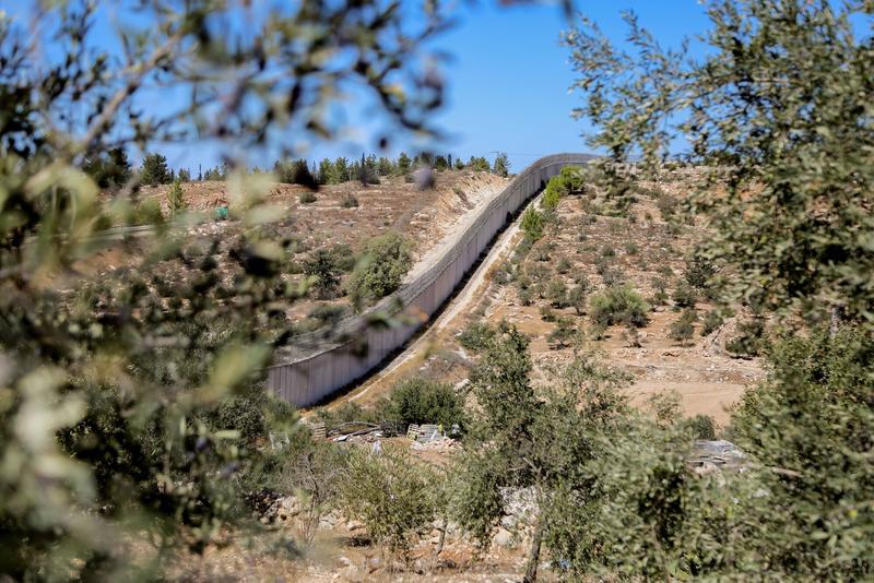 Capture, Terror, Genocide: The Systematic Annihilation of Palestine Under Netanyahu's Leadership Capture, Terror, Genocide: The Systematic Annihilation of Palestine Under Netanyahu's Leadership