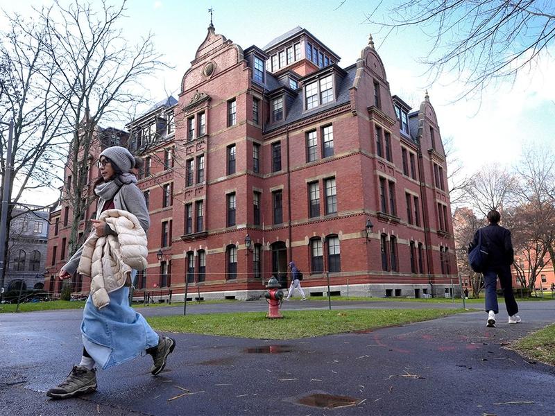 Peter MacKinnon: Harvard eschews ingrained ideology in order to tackle 'genuinely hard problems'