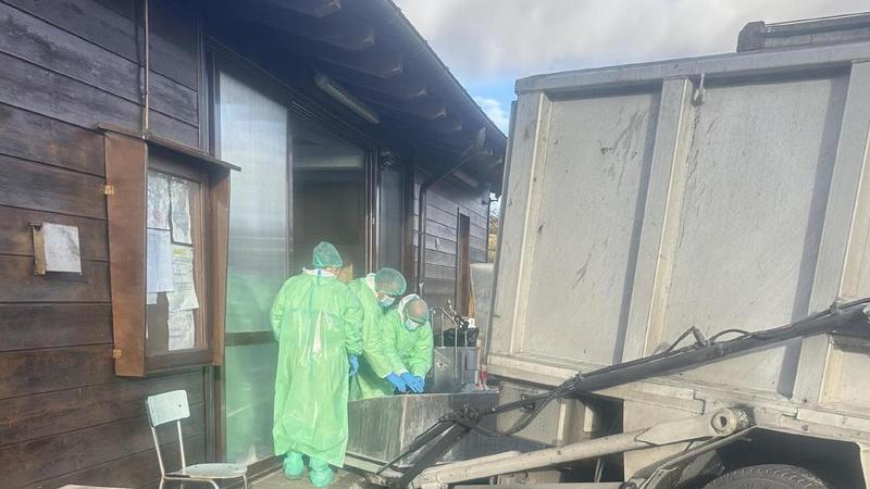 Villa Minozzo, due casi di positività alla febbre suina