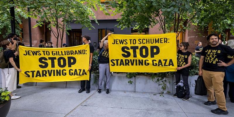 Democrats in Congress Are Out of Touch With Constituents on Israeli Genocide