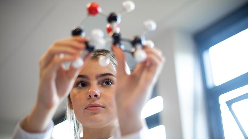 E’ in Veneto la miglior scuola d’Italia: laboratori, curiosità, passione. “Innoviamo senza mai perdere il legame con le nostre radici”