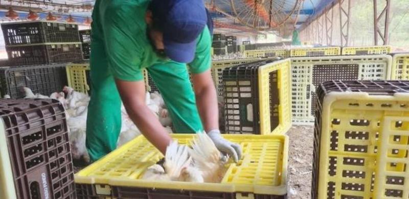 Justiça manda governo Lula incluir JBS na 'lista suja' do trabalho escravo