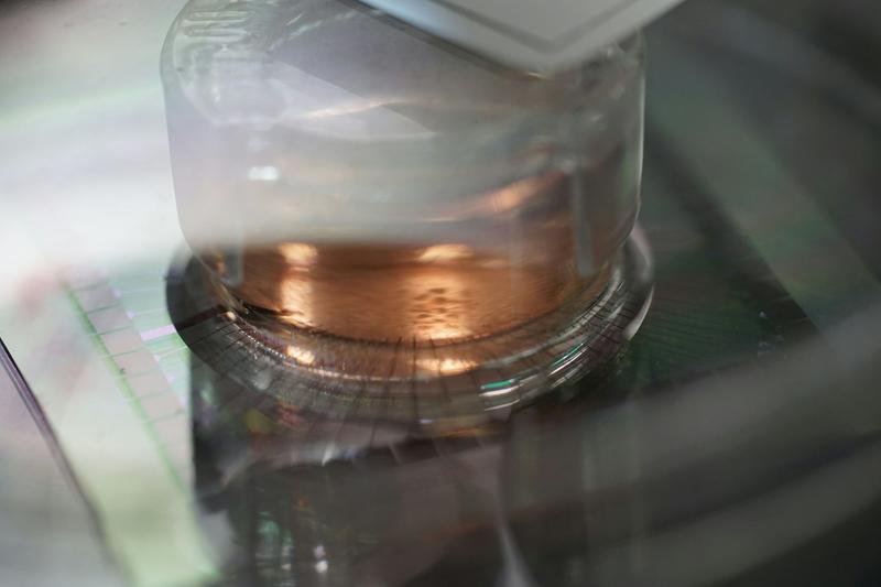 How scientists are growing computers from human brain cells – and why they want to keep doing it