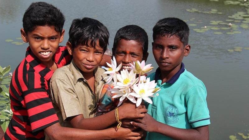 Democracy Weakens When One Voice Dominates – OpEd