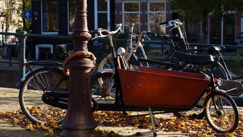 Debat: »Vi skal have sikrere cykler og stærkere cykelproducenter« Debat: »Vi skal have sikrere cykler og stærkere cykelproducenter«