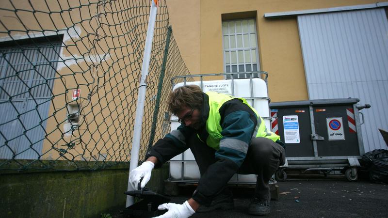 Topi alla primaria, scuola chiusa per 2 giorni