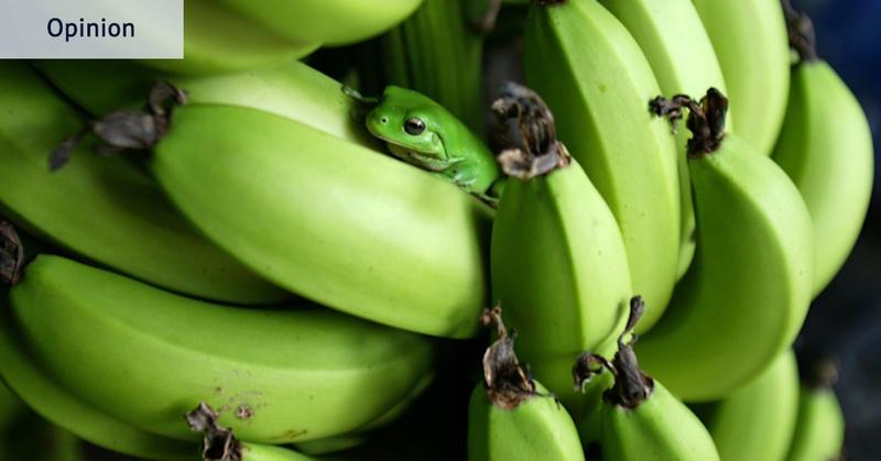 Instead of procrastinating at work, try ‘eating the frog’ Instead of procrastinating at work, try ‘eating the frog’