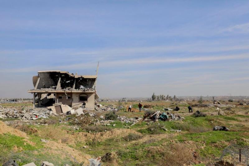 How Israel poisoned Gaza’s agricultural land for years to come How Israel poisoned Gaza’s agricultural land for years to come