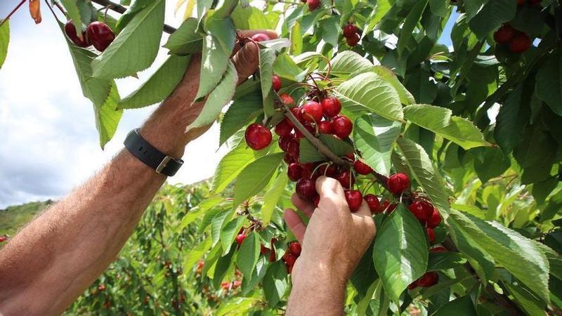 Necesitamos referentes y esperanza
