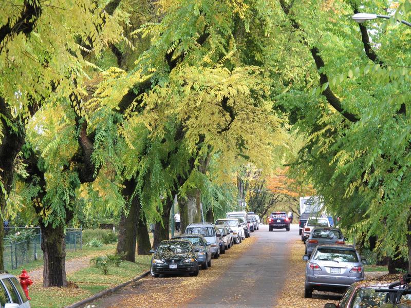 Canada's climate champions are down but not out