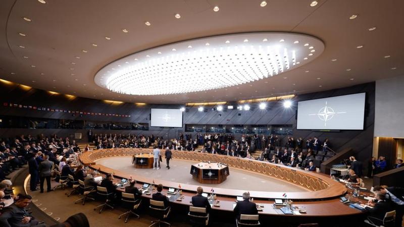 Ucraina, Rutte elogia Trump e pungola l'Italia: «Capisco gli alleati che dicono: “Ehi ragazzi, qui bisogna distribuire equamente gli oneri”»