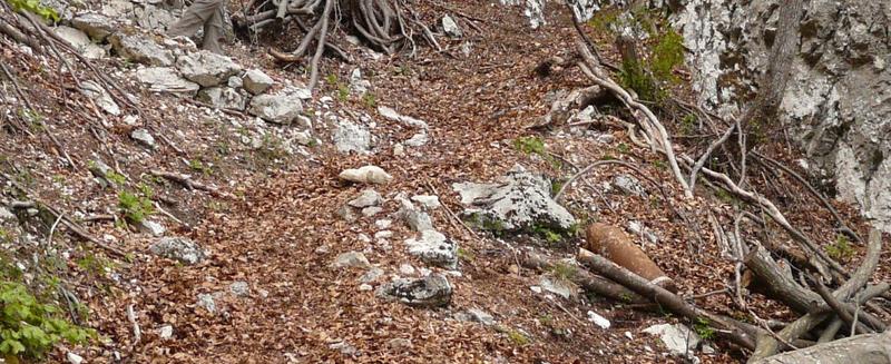 Reden um das heiße Blei