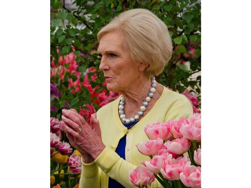 Holiday baking inspiration at the library