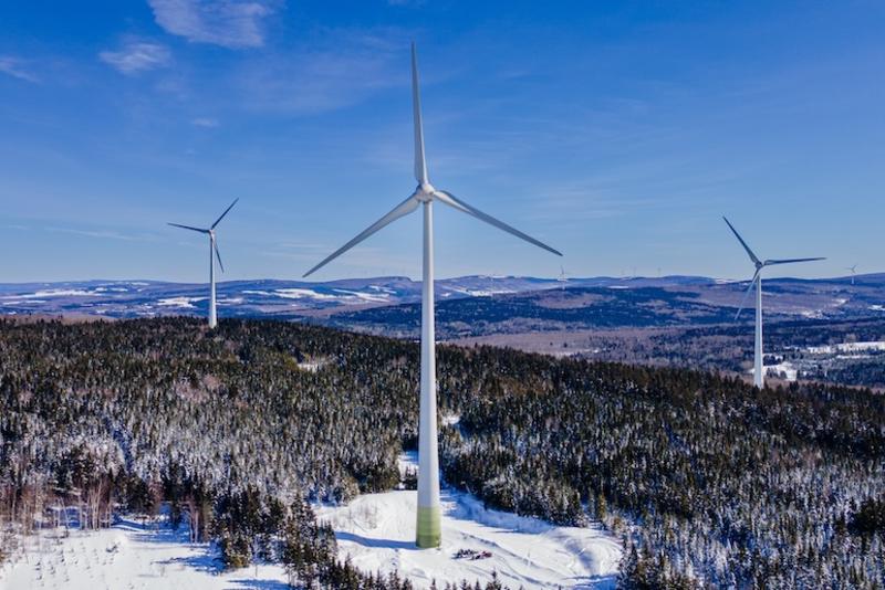 article gratuit La décarbonation intelligente, une arme contre Trump