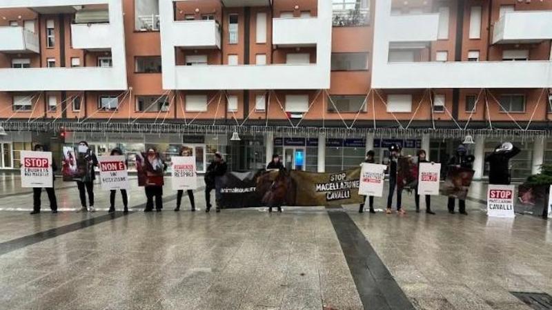 Macellazione cavalli, gli attivisti: “Violazioni e animali maltrattati”. L’azienda: “Lavoriamo nella legalità”