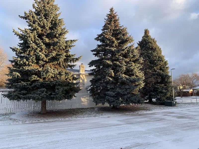 GARDEN CLIPPINGS: Right tree, right place GARDEN CLIPPINGS: Right tree, right place