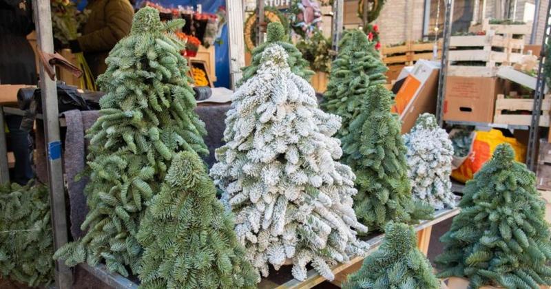 Two-day Christmas market to take place at historic venue Two-day Christmas market to take place at historic venue