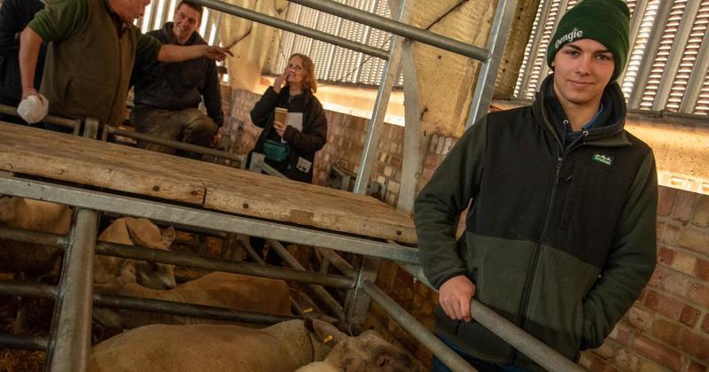 'Chuffed' sheep shearing farm student wins national Further Education award 'Chuffed' sheep shearing farm student wins national Further Education award