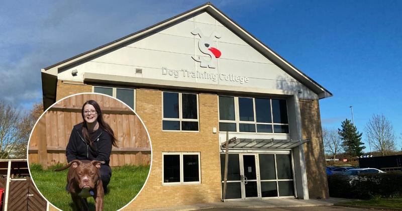 Thousands left out of pocket after dog training college goes bust