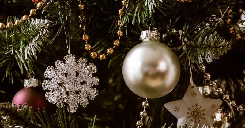 Φωταγώγηση Χριστουγεννιάτικου Δέντρου στον Δήμο Κισσάμου