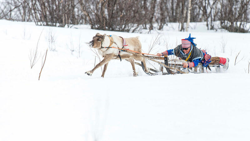 Reinkappkjøring er i ferd med å bli museumsgjenstand