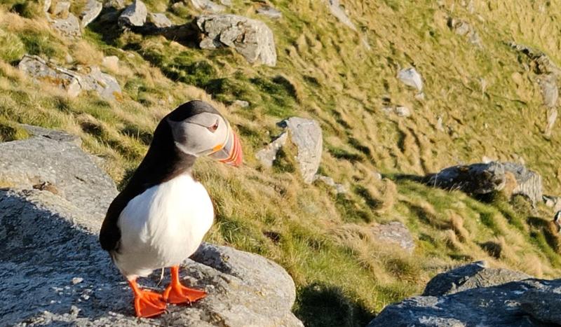 Mange gladnyheiter for klima og miljø i budsjettforliket