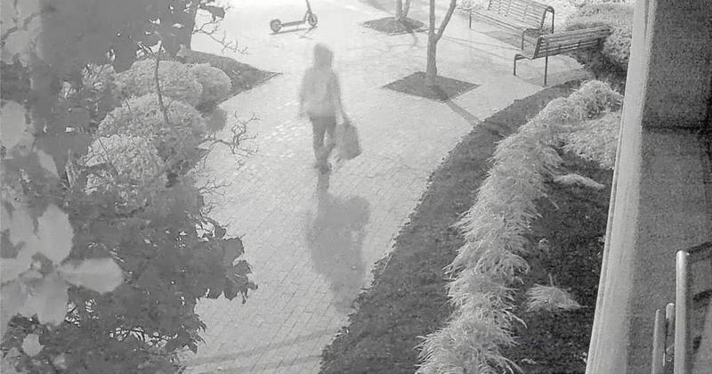 How the FBI Finally Identified the D.C. Pipe Bomb Suspect How the FBI Finally Identified the D.C. Pipe Bomb Suspect