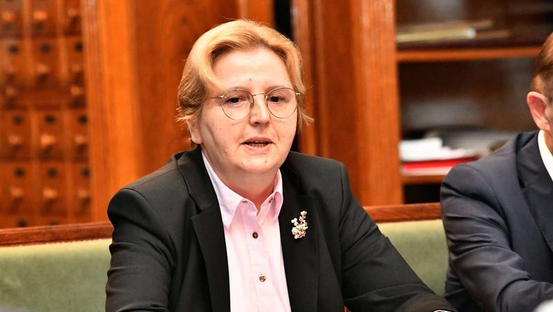 Režim bi da u delikatnim predmetima blokira tužilaštvo