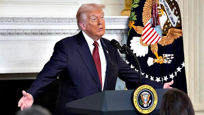 How to make President Donald Trump's immigration pause stick in court