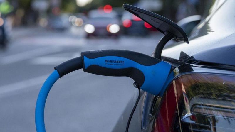 Hem d’aspirar al coneixement