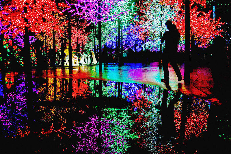 The Holidays Can Be Brutal When You’re Grieving The Holidays Can Be Brutal When You’re Grieving