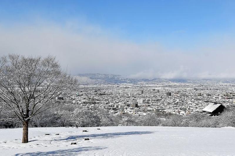 VOX POPULI: Winter has come--but have bears noticed its arrival?