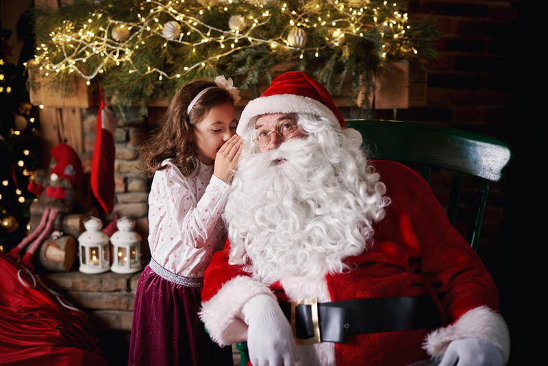 Books / What not to say when visiting Santa’s grotto, and other tips from Ben Schott