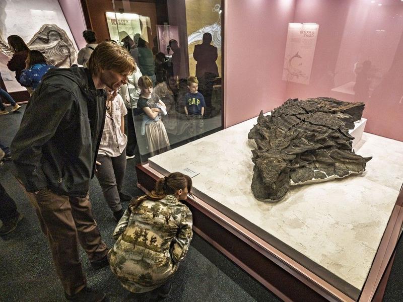 Opinion: Alberta's next billion-dollar engine isn't oil — it's culture