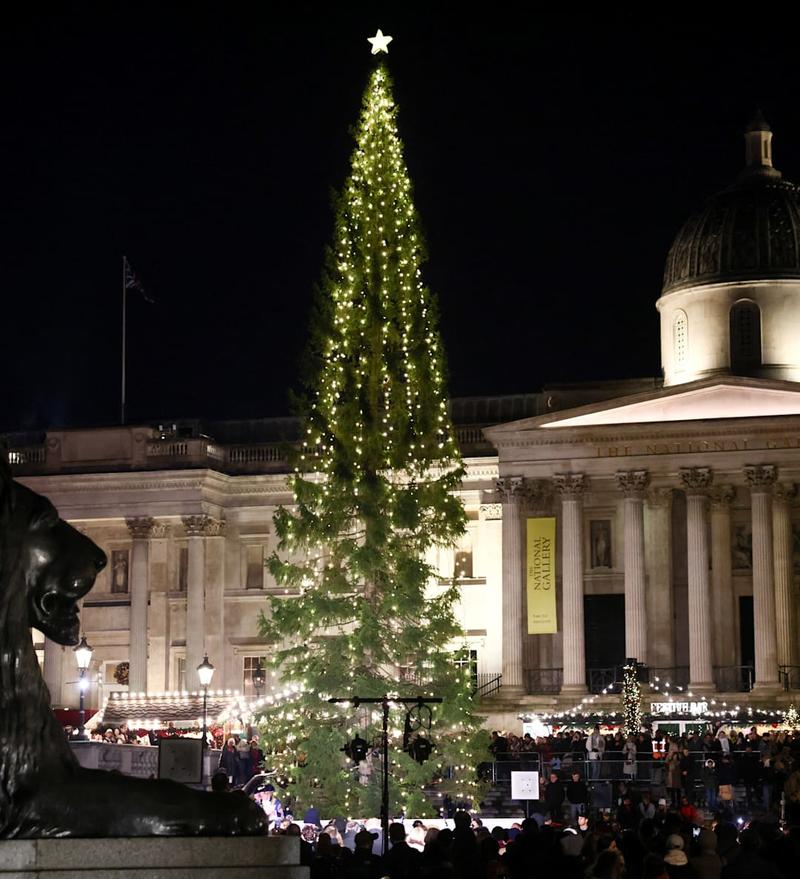 Verdens styggeste juletre?