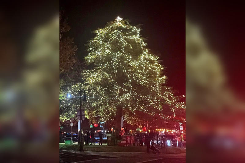 'Still hard to believe': Calif. mountain town gets Hallmark movie-worthy miracle