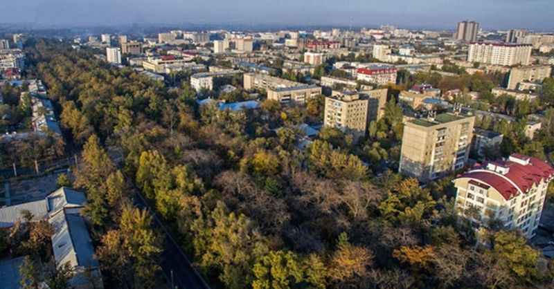 Çıplak adam Çıplak adam