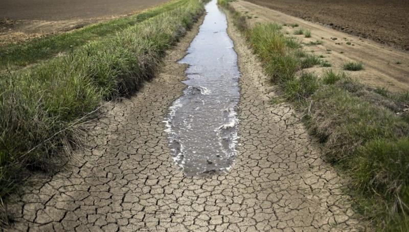 Trump revives California’s water wars between farms and fish Trump revives California’s water wars between farms and fish