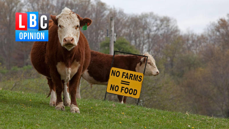 This Budget leaves British farming steadier, but still far from secure