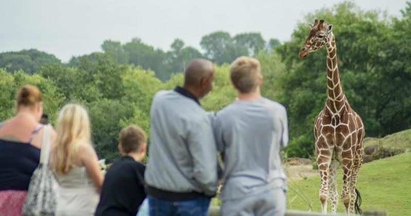 Zoo faces six-figure business rates bill after being hit by budget hikes